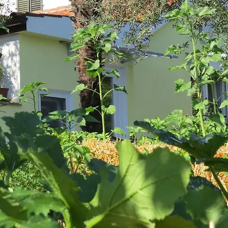 Casetta Апартаменты